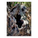 Suche nach baumstumpf postkarten Leer