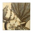 Suche nach algen fliesen Seesterne