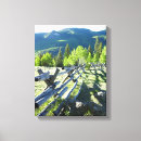 Suche nach verwitterter poster leinwandbilder Zaun