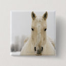 Suche nach pferdeliebhaber buttons Cowboy