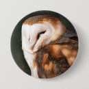 Suche nach niedliche eulen buttons Tierwelt