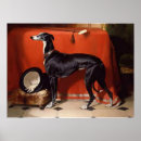 Suche nach windhunde kunst poster Öl