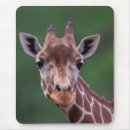 Suche nach netz mousepads Tier
