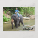 Suche nach chiang mai thailand postkarten Foto