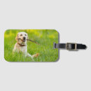 Suche nach fänger gepäckanhänger Fang