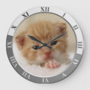 Suche nach home cat poster Cute