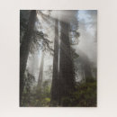 Suche nach redwood puzzle Kalifornien