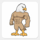 Suche nach hawk aufkleber Lustig