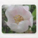 Suche nach reinheit mousepads Blume