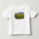 Suche nach nordost tshirts Nordamerika