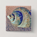 Suche nach seashell buttons Nautisch