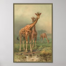 Suche nach afrikanische giraffe poster Vintag