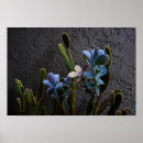 Suche nach plant poster Botanical