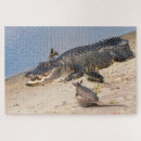 Suche nach alligator puzzle Krokodil