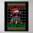 Suche nach hundeschlitten poster Dogs