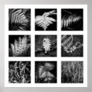Suche nach details poster Natur