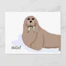 Suche nach walrosse poster Arktisch