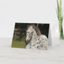 Suche nach spotten karten Tier