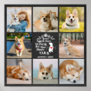 Suche nach verlust des hundes poster Heimverlustverlust