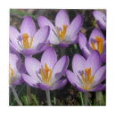 Suche nach kreuze fliesen Blume