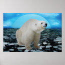 Suche nach arktischer bär poster Eisbär