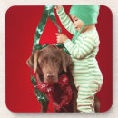 Suche nach schokolade labrador untersetzer Baby