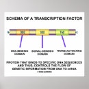 Suche nach proteine poster Biologie