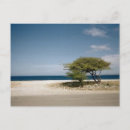Suche nach bonaire postkarten Urlaub