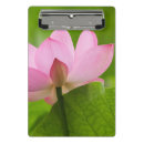 Suche nach lotus klemmbrett Blüte