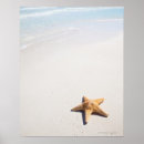 Suche nach maya poster Natur