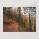 Suche nach wicklow postkarten Weide