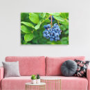 Suche nach beeren leinwandbilder Pflanze