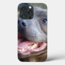 Suche nach glücklich iphone hüllen Hund