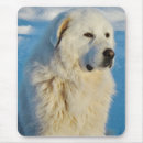 Suche nach farm der tiere mousepads Winter