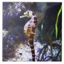 Suche nach aquarium fliesen Fisch