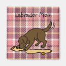 Suche nach strümpfe magnete Lustig