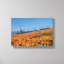 Suche nach mohnblumen leinwand Kalifornien