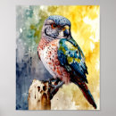 Suche nach falcone poster Raubvogel