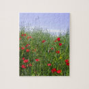 Suche nach mohn puzzle Fotografie