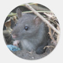 Suche nach rats aufkleber Tiere