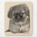 Suche nach pekingese Tiere