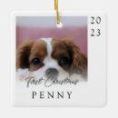 Suche nach haustierartikel Schwarz weiß