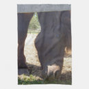 Suche nach nahaufnahme geschirr tücher Pferd