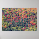 Suche nach waldlandschaft poster Herbst