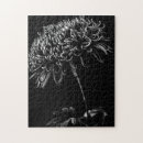 Suche nach chrysantheme puzzle Blume