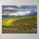 Suche nach weinberg poster Usa