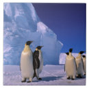 Suche nach die antarktis fliesen Pete oxford