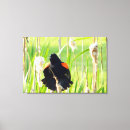 Suche nach lied leinwandbilder Vogel