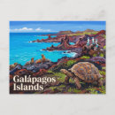Suche nach galapagos inseln postkarten Souvenir