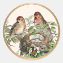 Suche nach singvogel aufkleber Vogelbeobachter